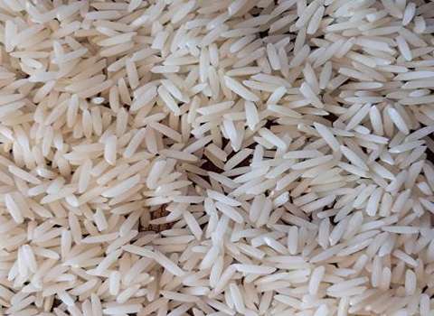 قیمت برنج طارم گیلان + خرید باور نکردنی